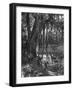 Florida Everglades, USA, C1885-null-Framed Giclee Print
