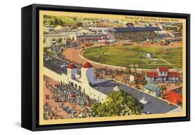 Florida Fair, Tampa, Florida-null-Framed Stretched Canvas