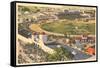 Florida Fair, Tampa, Florida-null-Framed Stretched Canvas