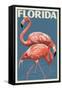 Florida - Flamingo-Lantern Press-Framed Stretched Canvas