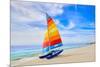 Florida Fort Myers Beach Catamaran Sailboat in USA-holbox-Mounted Photographic Print