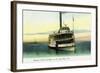 Florida - Fred'k De Bary Steamer on St. John's River-Lantern Press-Framed Art Print