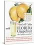 Florida Grapefruit, Colds Flu Fruit, USA, 1920-null-Stretched Canvas