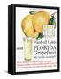 Florida Grapefruit, Colds Flu Fruit, USA, 1920-null-Framed Stretched Canvas