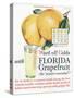 Florida Grapefruit, Colds Flu Fruit, USA, 1920-null-Stretched Canvas