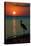 Florida - Heron and Sunset-Lantern Press-Stretched Canvas