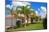 Florida Home-Yarex-Mounted Photographic Print