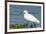 Florida, Immokalee, Snowy Egret Hunting-Bernard Friel-Framed Photographic Print