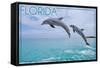 Florida - Jumping Dolphins-Lantern Press-Framed Stretched Canvas