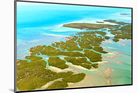 Florida Keys Aerial View-Zechal-Mounted Photographic Print