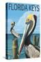 Florida Keys, Florida - Brown Pelican-Lantern Press-Stretched Canvas