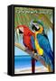 Florida Keys, Florida - Parrots-Lantern Press-Framed Stretched Canvas