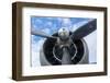 Florida, Leesburg, Ww Ii Military Airplanes-Lisa S. Engelbrecht-Framed Photographic Print