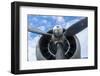 Florida, Leesburg, Ww Ii Military Airplanes-Lisa S. Engelbrecht-Framed Photographic Print