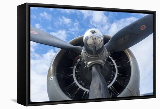 Florida, Leesburg, Ww Ii Military Airplanes-Lisa S. Engelbrecht-Framed Stretched Canvas