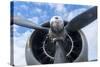 Florida, Leesburg, Ww Ii Military Airplanes-Lisa S. Engelbrecht-Stretched Canvas