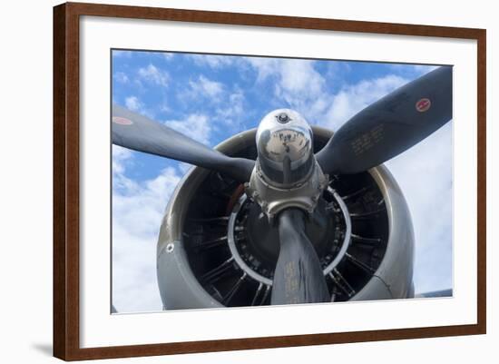 Florida, Leesburg, Ww Ii Military Airplanes-Lisa S. Engelbrecht-Framed Photographic Print