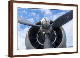 Florida, Leesburg, Ww Ii Military Airplanes-Lisa S. Engelbrecht-Framed Photographic Print