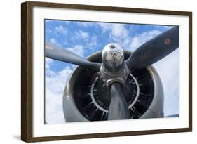 Florida, Leesburg, Ww Ii Military Airplanes-Lisa S. Engelbrecht-Framed Photographic Print