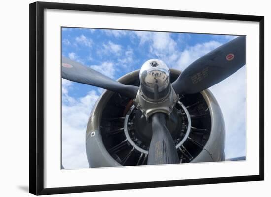 Florida, Leesburg, Ww Ii Military Airplanes-Lisa S. Engelbrecht-Framed Photographic Print