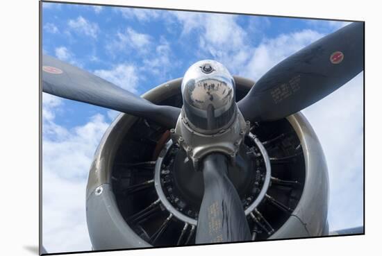 Florida, Leesburg, Ww Ii Military Airplanes-Lisa S. Engelbrecht-Mounted Photographic Print