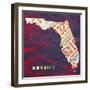 Florida License Plate-Design Turnpike-Framed Giclee Print