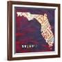 Florida License Plate-Design Turnpike-Framed Giclee Print