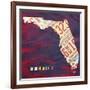 Florida License Plate-Design Turnpike-Framed Giclee Print