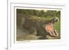 Florida Man-Eater, Alligator-null-Framed Premium Giclee Print