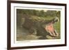 Florida Man-Eater, Alligator-null-Framed Premium Giclee Print