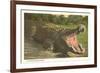 Florida Man-Eater, Alligator-null-Framed Premium Giclee Print