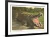 Florida Man-Eater, Alligator-null-Framed Premium Giclee Print