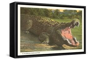 Florida Man-Eater, Alligator-null-Framed Stretched Canvas