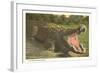 Florida Man-Eater, Alligator-null-Framed Art Print