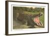 Florida Man-Eater, Alligator-null-Framed Art Print