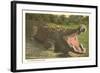 Florida Man-Eater, Alligator-null-Framed Art Print