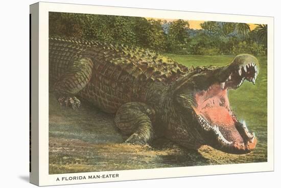 Florida Man-Eater, Alligator-null-Stretched Canvas