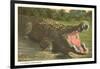 Florida Man-Eater, Alligator-null-Framed Art Print