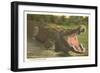 Florida Man-Eater, Alligator-null-Framed Premium Giclee Print