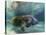 Florida Manatee, Crystal River, Florida, Usa-Rebecca Jackrel-Stretched Canvas