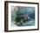 Florida Manatee, Crystal River, Florida, Usa-Rebecca Jackrel-Framed Photographic Print