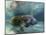 Florida Manatee, Crystal River, Florida, Usa-Rebecca Jackrel-Mounted Photographic Print