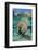 Florida manatee with Blue gill sunfish cleaning it, in a freshwater spring. Crystal River, Florida-Alex Mustard-Framed Photographic Print