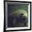 Florida Manatee-Nina Leen-Framed Photographic Print