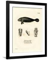 Florida Manatee-null-Framed Giclee Print