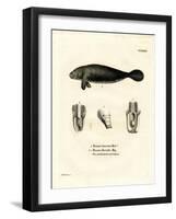 Florida Manatee-null-Framed Giclee Print