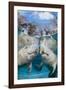 florida manatees close to the surface in shallow water, usa-david fleetham-Framed Photographic Print