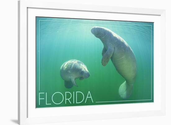 Florida - Manatees Underwater-Lantern Press-Framed Art Print