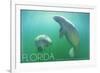 Florida - Manatees Underwater-Lantern Press-Framed Art Print