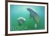 Florida - Manatees Underwater-Lantern Press-Framed Art Print